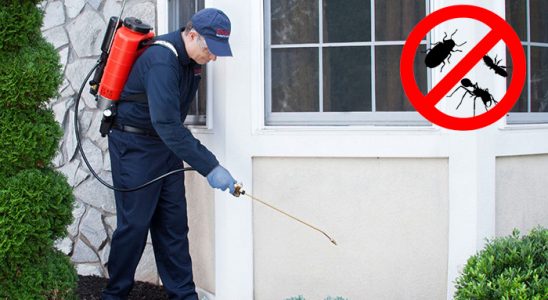 Balışeyh Pire İlaçlama böcek ilaçlama ve haşere kontrolü — ilaclama-tr.com